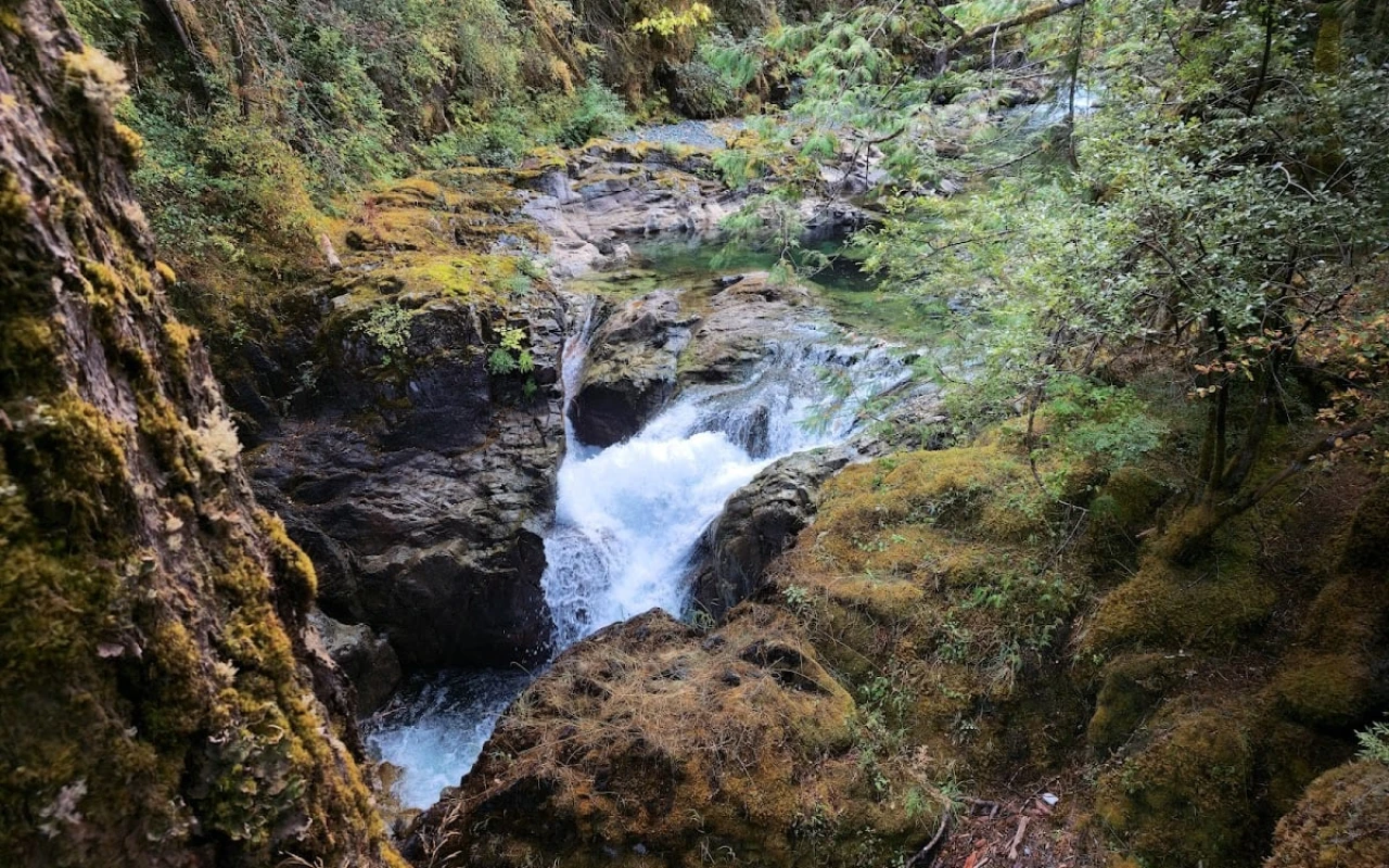 A picturesque view of Little Qualicum Falls, showcasing a rocky landscape with cascading water. The water flows energetically over moss-covered stones, surrounded by lush greenery and trees.