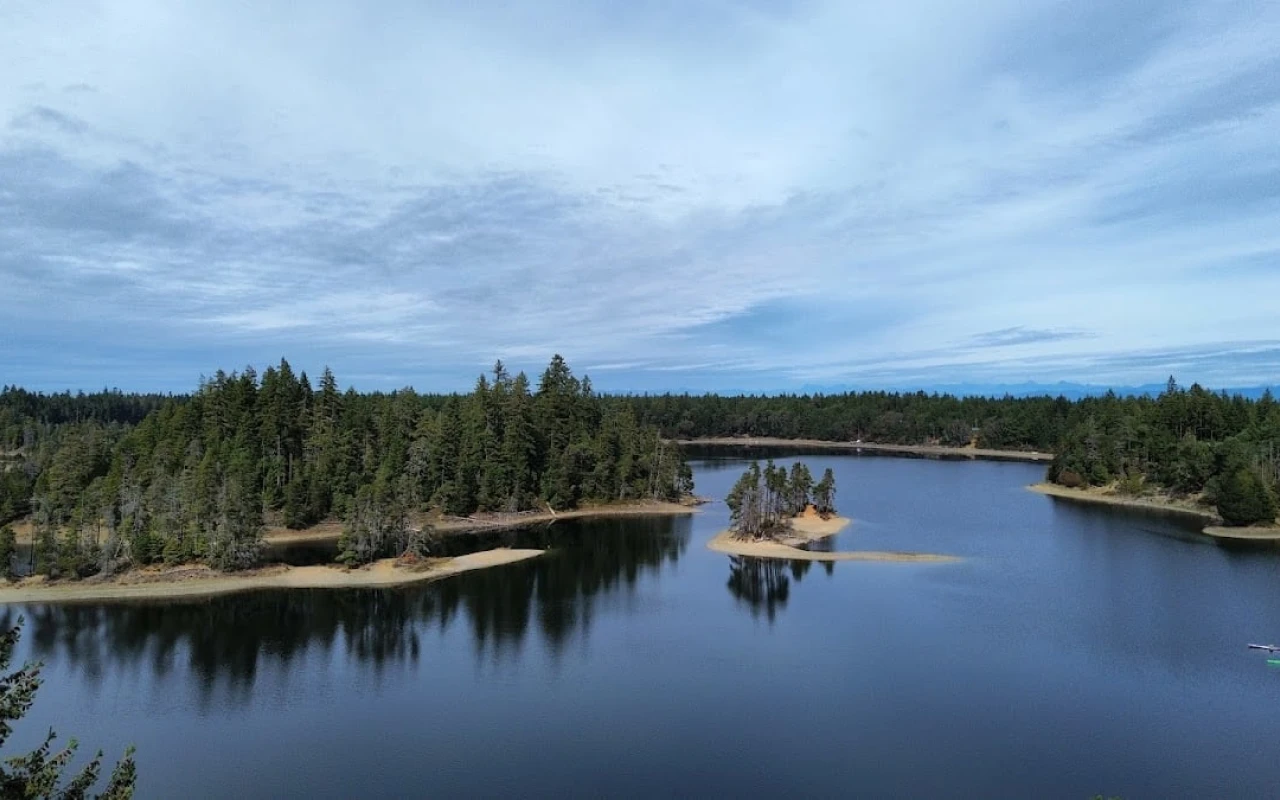A serene view of Spider Lake, showcasing its calm waters reflecting the surrounding forested islands. The landscape features multiple small sandy beaches and clusters of trees that create a picturesque and tranquil setting.