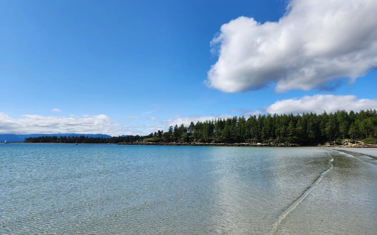 A stunning view of Tribune Bay, featuring clear turquoise water under a bright blue sky dotted with fluffy clouds. The shoreline is lined with lush green trees, creating a picturesque backdrop.